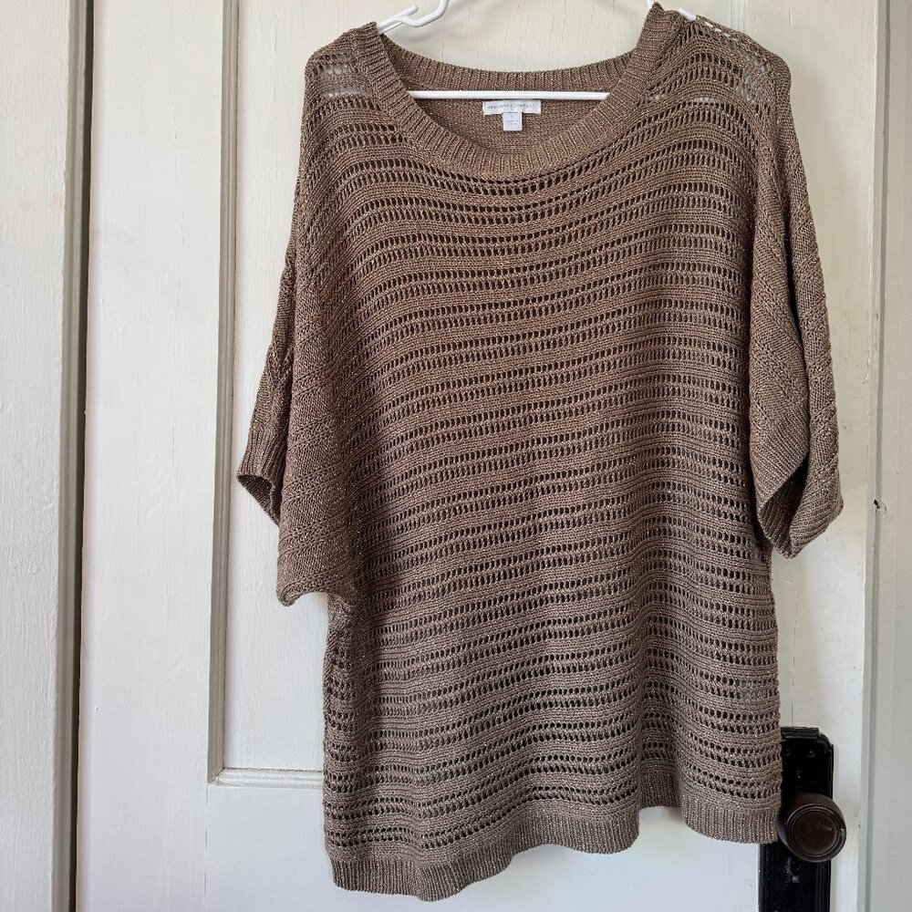 New York & Company Tan Sweater